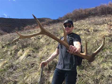 Colorado Elk Shed Hunting Tips – Transition Wild