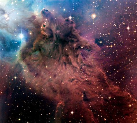 The Fox Fur nebula Cosmos, God Is Amazing, Hubble Images, Space Pictures, Space Photos, Earth ...