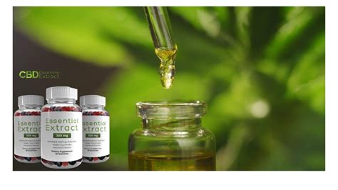 Essential Extract CBD Gummies Reviews - Is It Recommended For Pain Relief?