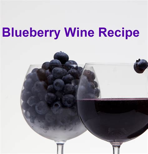 Blueberry Wine Recipe 1 Gallon Uk | Bryont Blog