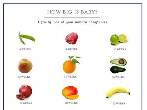 How Big is Baby Pregnant Fruit Baby Size 'poster' Pdf - Etsy