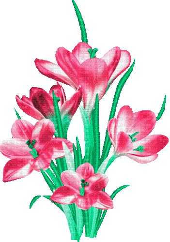 Animated Clipart Flowers