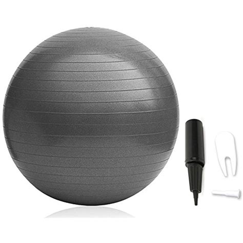 Stability Ball Fitness Pilates Ball for Women Gym Ball NDN LINE Purple Exercise Ball Swiss Ball ...