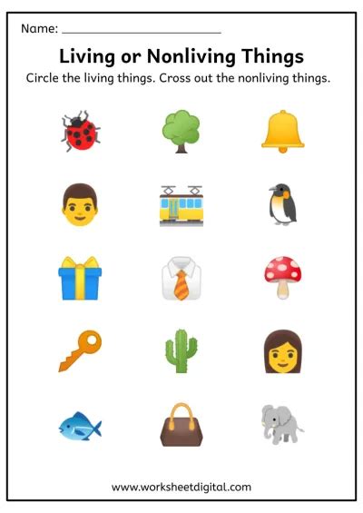 Living or Nonliving Things Worksheet - Worksheet Digital