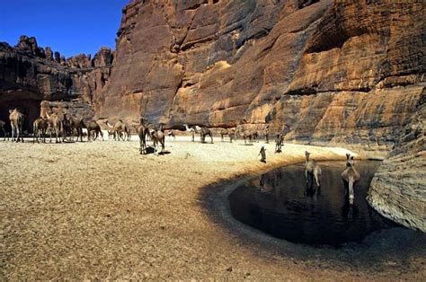 World's Beautiful Landscapes.: Guelta d'Archei | Amazing lake in Sahara Desert