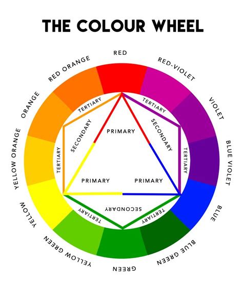 The Color Wheel In Color Assessment Color Wheel Color Color Theory ...