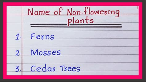 Name of Non Flowering Plants | 10 Non Flowering Plants | Examples of ...