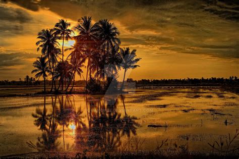 Golden Sunset by pangwei on DeviantArt