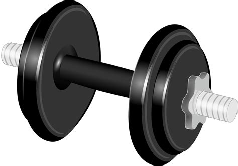 Weight clipart weight lifting equipment, Weight weight lifting equipment Transparent FREE for ...