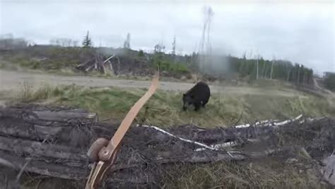 This Canadian Survived An Attack From A Charging Bear While Filming The ...