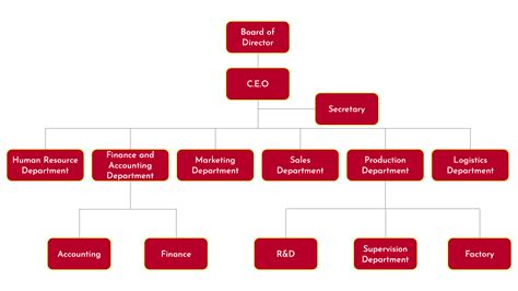 Organizational Structure | Kingfoods