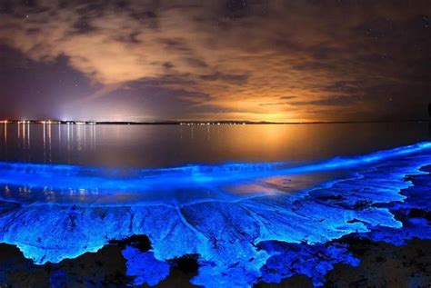 The Glowing Ocean