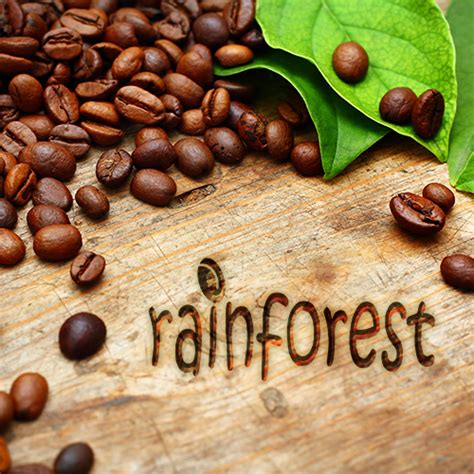 Rainforest Blend | Dark Canyon Coffee