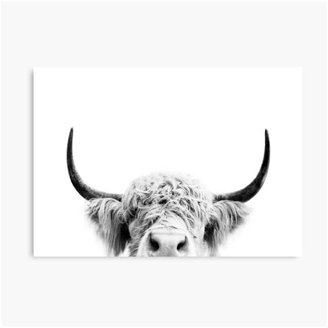 Impression sur toile « Vache furtive» White Canvas Art, Abstract Canvas Wall Art, Black And ...