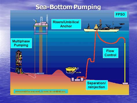 PETROLEUM GEOLOGY | GEOmayour