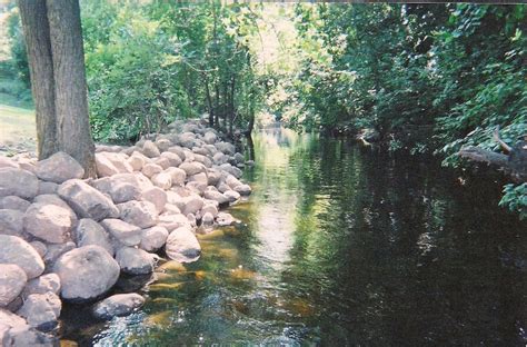 RIVER BANK EROSION CONTROL SNAPSHOTS | maple hill forest inc. – boulder ...