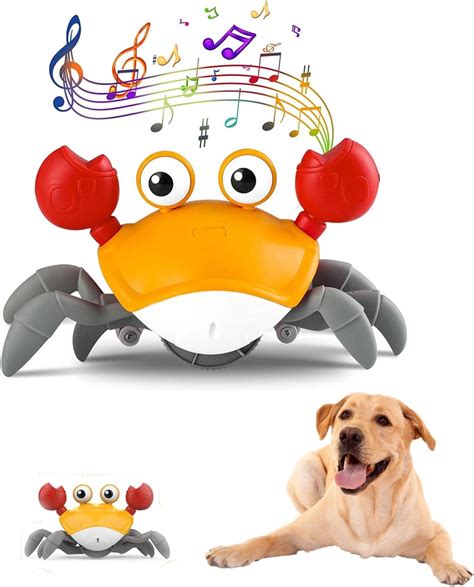 Pet Supplies : Fzonsh Crawling Crab Dog Toys,Escaping Toy with Obstacle ...