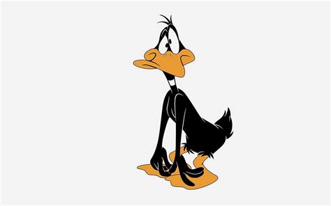 Looney Tunes Daffy Duck Cartoon Character HD wallpaper | Wallpaper Flare