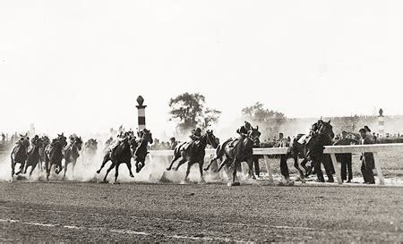 War Admiral - Horse Profile - BloodHorse