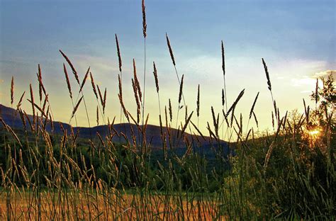 Sunset Field Photograph by Doolittle Photography and Art - Fine Art America