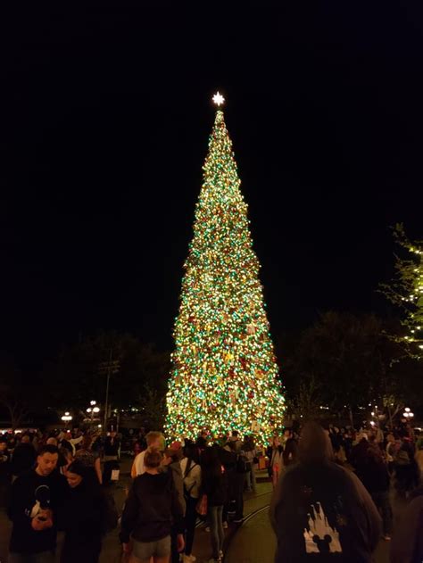 This year's Christmas tree at Disneyland. : r/Disneyland