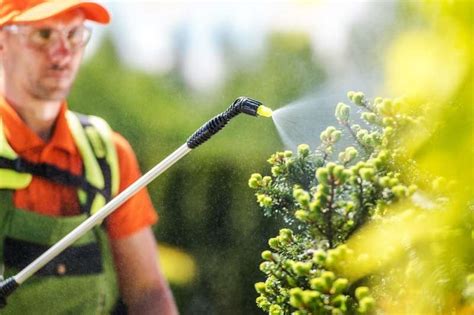 Choosing a Professional-Grade Tree Spray Gun | Pro Tree & Turf Equip