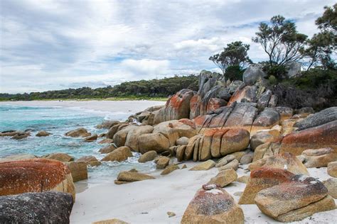 Best Places to Visit on The Bay of Fires, Tasmania - Travelsewhere