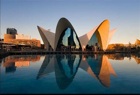 Ramblings: Santiago Calatrava | Santiago calatrava, Santiago calatrava architecture, Futuristic ...