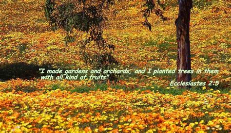 Fall Christian Wallpaper and Screensavers - WallpaperSafari