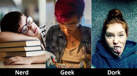 Difference Between Nerd Geek Dweeb