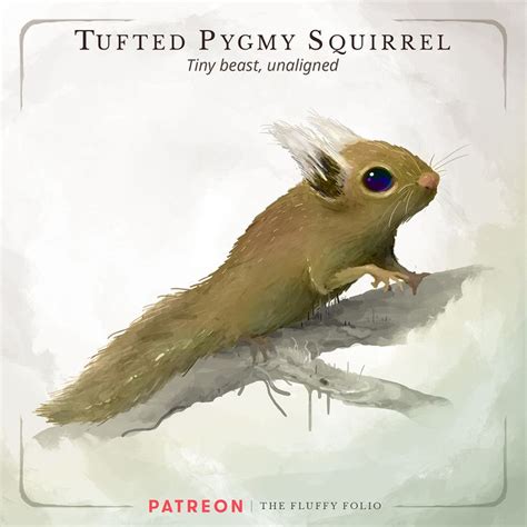 Tufted Pygmy Squirrel – Tiny beast, unaligned | Spiritus