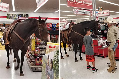 So a Man Walks His Horse Into an Oklahoma Tractor Supply Store...