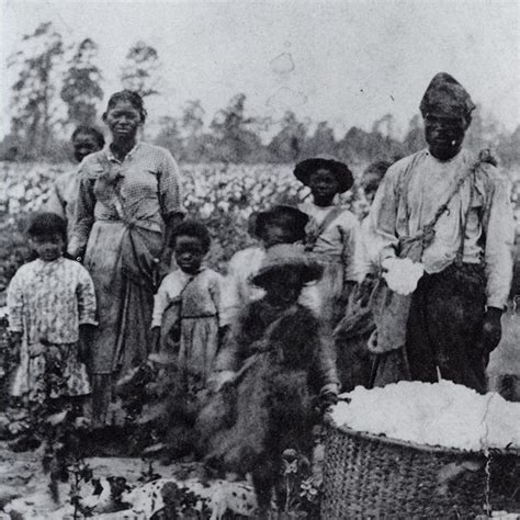 How America was built on slavery: Those roots can still be felt today | ASU News