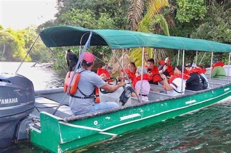 Monkey Island experience in the Panama Canal (Gatun Lake)