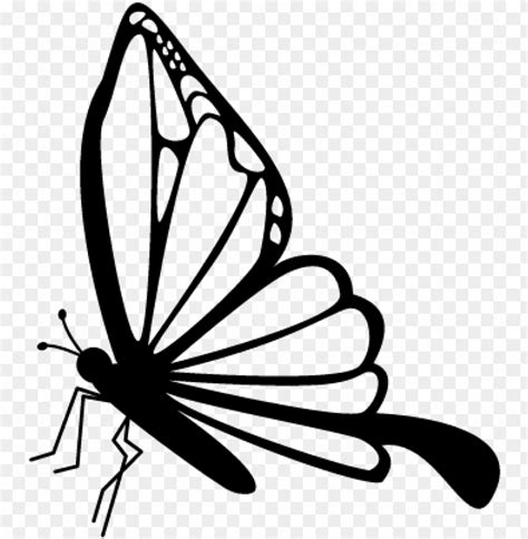 Butterfly Side View Drawing PNG Transparent With Clear Background ID 88203 | TOPpng