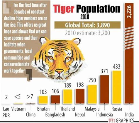 Malayan Tiger Population 2024 - Zelma Katuscha