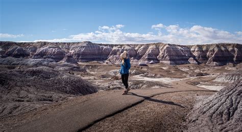 One Day in Petrified Forest National Park: A Complete Guide - Uprooted Traveler