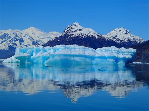 Our First Week of Columbia Glacier Sea Kayaking Day Trips! Come Join Us in Valdez, Alaska ...