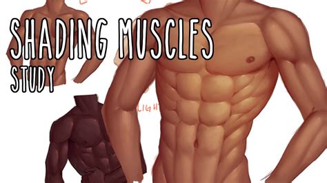 Study of Shading Muscles - YouTube