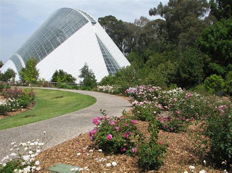 Adelaide Botanic Gardens Bicentennial Conservatory - Trevor's Travels