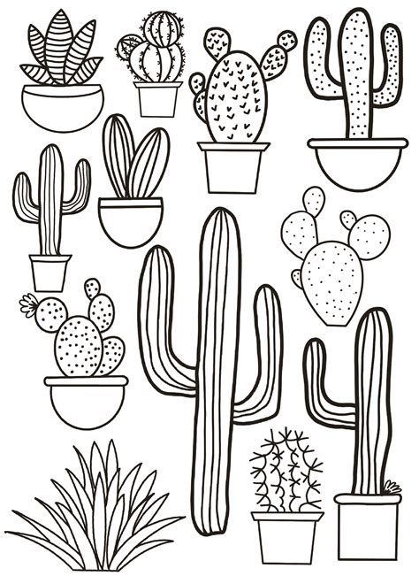 Coloring Pages For Cacti