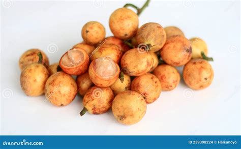 Menteng fruit stock photo. Image of sweet, pundung, rambai - 239398224