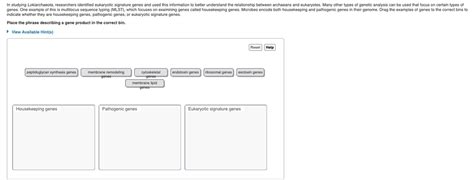 Answered: In studying Lokiarchaeota, researchers… | bartleby