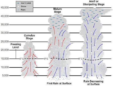 Figure 1-11 -- Thunderstorm stages.