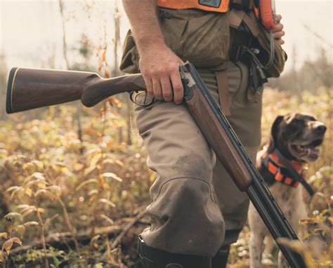 Upland Shotguns - Which Shotgun is right for Bird Hunting?