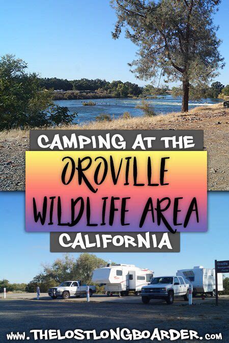 Free Camping at Oroville Wildlife Area | Oroville, Free camping, Camping