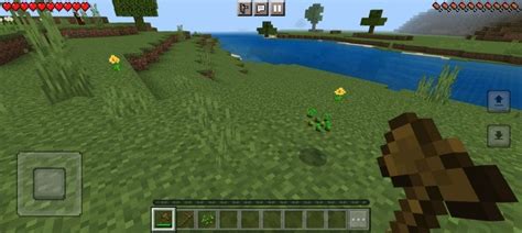 How To Grow Wheat In Minecraft 2023- A Staple For Any Beginner | GameGrinds