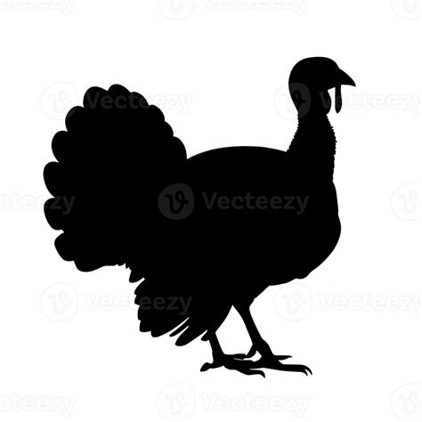 Turkey silhouette isolated 24483644 PNG