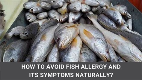 How to Avoid Fish Allergy and its Symptoms Naturally?