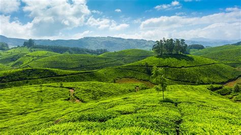 Ponmudi Hill Station, Kerala, India - YouTube